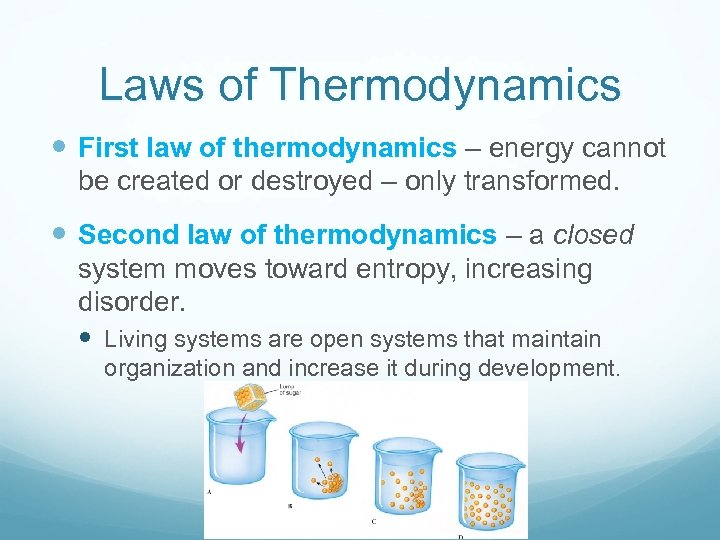 Laws of Thermodynamics First law of thermodynamics – energy cannot be created or destroyed