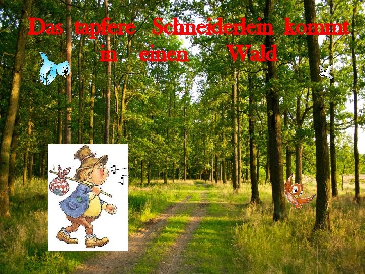 Das tapfere Schneiderlein kommt in einen Wald http: //linda 6035. ucoz. ru/ 