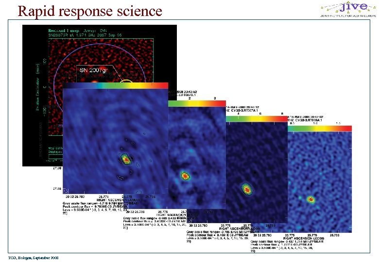 Rapid response science TOG, Bologna, September 2008 