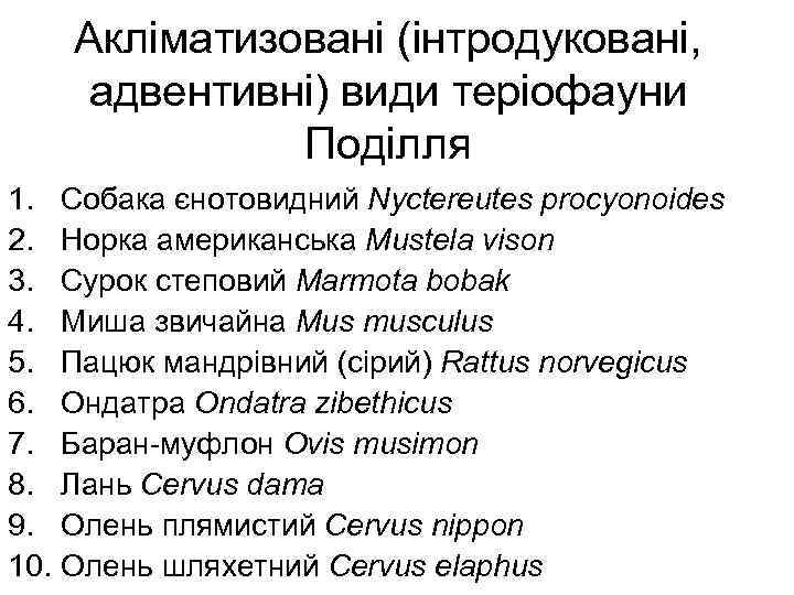 Акліматизовані (інтродуковані, адвентивні) види теріофауни Поділля 1. Собака єнотовидний Nyctereutes procyonoides 2. Норка американська