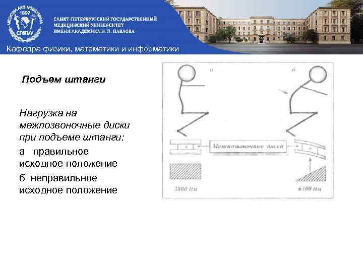 Кафедра физики, математики и информатики Подъем штанги Нагрузка на межпозвоночные диски при подъеме штанги: