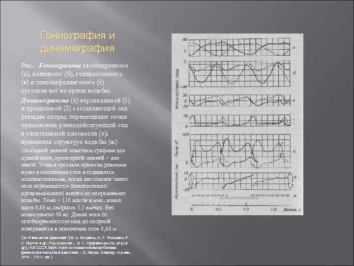 Гониография и динамография Рис. Гониограммы тазобедренного (а), коленного (б), голеностопного (в) и плюснефалангового (г)