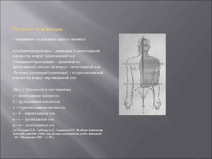 Простые локомоции – изменение положения одного сегмента • Сгибание/разгибание – движения в сагиттальной плоскости