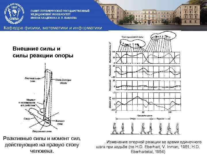 Кафедра физики, математики и информатики Внешние силы и силы реакции опоры Реактивные силы и