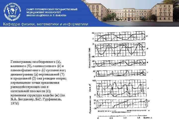 Кафедра физики, математики и информатики Гониограммы тазобедренного (а), коленного (б), голеностопного (в) и плюснефалангового