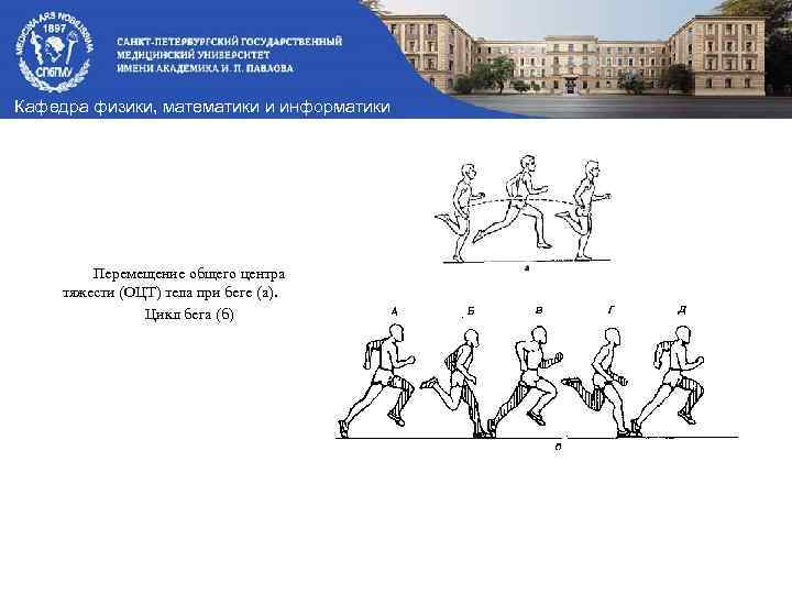 Кафедра физики, математики и информатики Перемещение общего центра тяжести (ОЦТ) тела при беге (а).