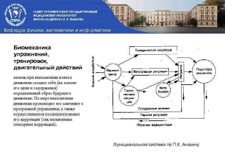 Кафедра физики, математики и информатики Биомеханика упражнений, тренировок, двигательный действий еловек при выполнении нового