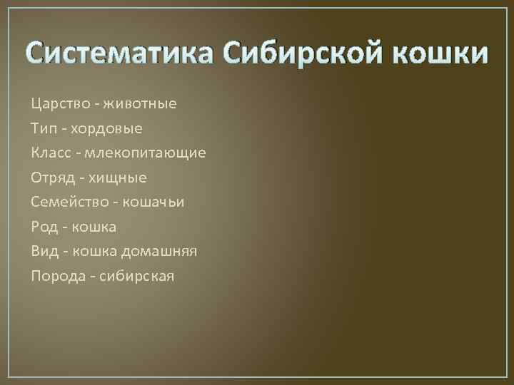 Систематика Сибирской кошки Царство - животные Тип - хордовые Класс - млекопитающие Отряд -