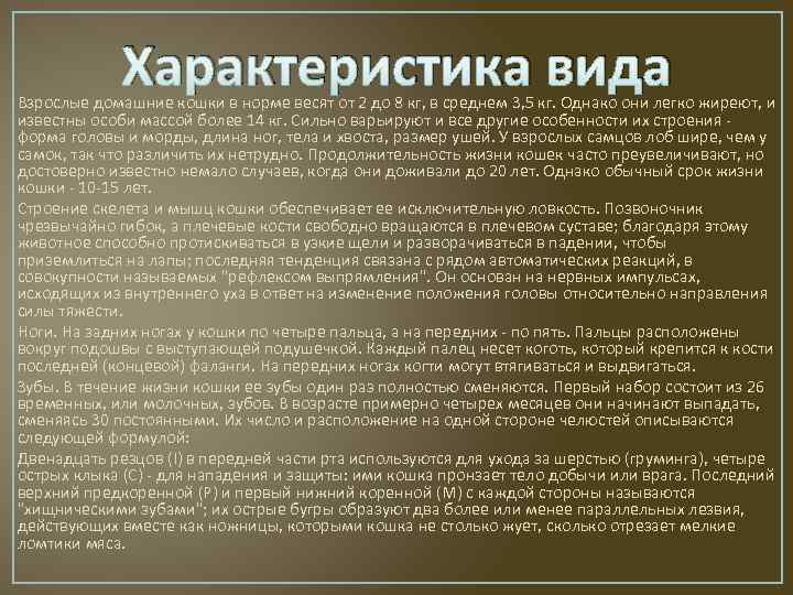 Характеристика вида Взрослые домашние кошки в норме весят от 2 до 8 кг, в