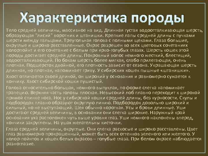 Характеристика породы Тело средней величины, массивное на вид. Длинная густая водоотталкивающая шерсть, образующая "лисий"