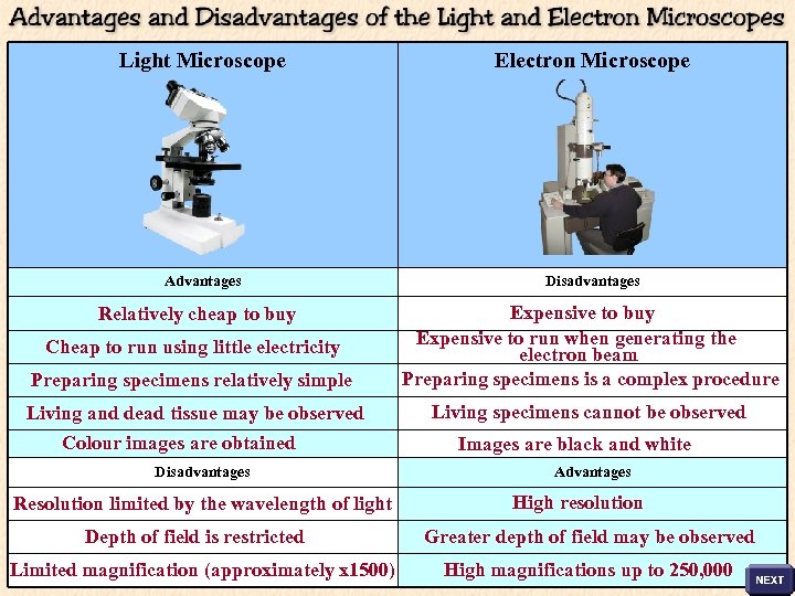 three disadvantages of electron microscope