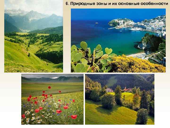 6. Природные зоны и их основные особенности 
