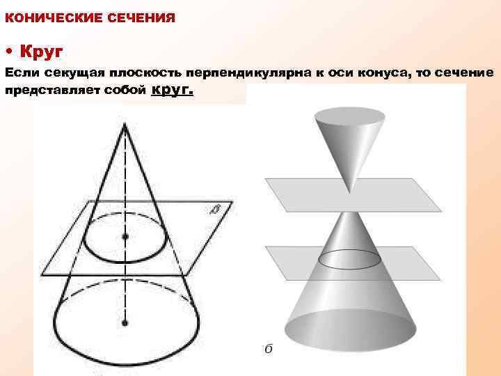 Сечение окружности плоскостью