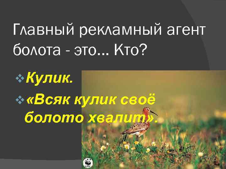 Главный рекламный агент болота - это. . . Кто? v. Кулик. v «Всяк кулик