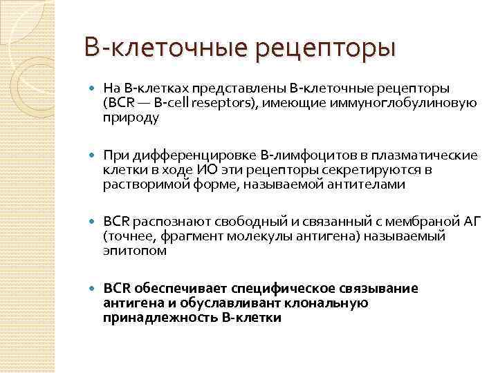 В-клеточные рецепторы На В-клетках представлены В-клеточные рецепторы (BCR — B-cell reseptors), имеющие иммуноглобулиновую природу