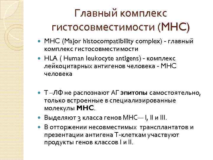 Главный комплекс гистосовместимости (MHC) MHC (Major histocompatibility complex) - главный комплекс гистосовместимости HLA (
