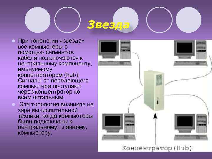 Звезда При топологии «звезда» все компьютеры с помощью сегментов кабеля подключаются к центральному компоненту,
