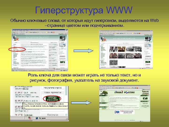 Как называются ключевые слова или изображения от которых идут гиперсвязи