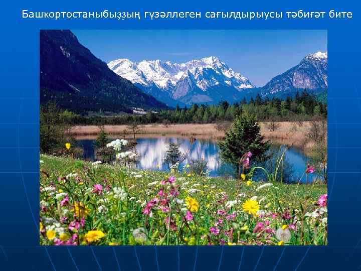Башҡортостаныбыҙҙың гүзәллеген сағылдырыусы тәбиғәт бите 
