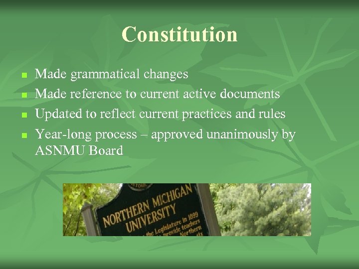 Constitution n n Made grammatical changes Made reference to current active documents Updated to