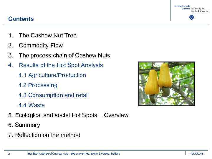 Contents 1. The Cashew Nut Tree 2. Commodity Flow 3. The process chain of