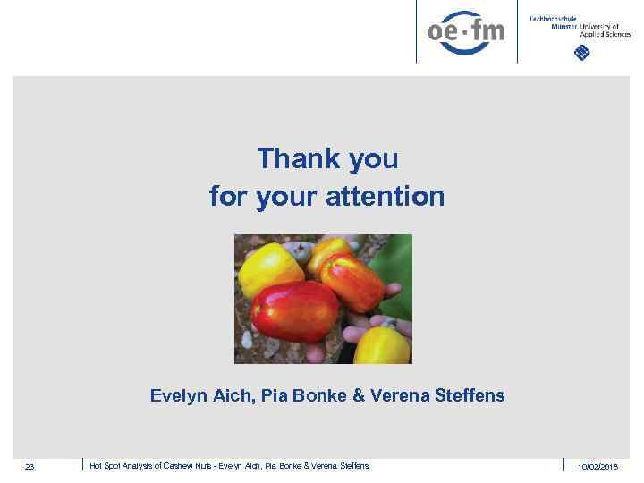 Thank you for your attention Evelyn Aich, Pia Bonke & Verena Steffens 23 Hot