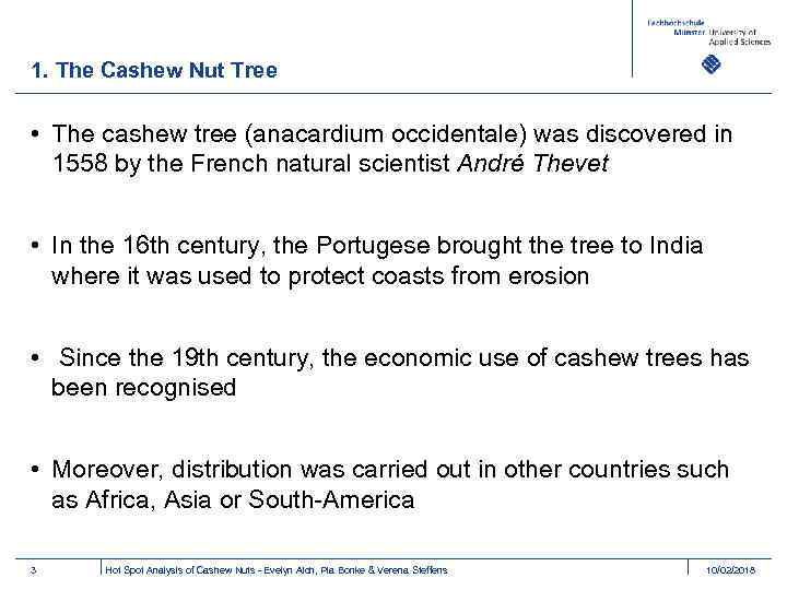 1. The Cashew Nut Tree • The cashew tree (anacardium occidentale) was discovered in