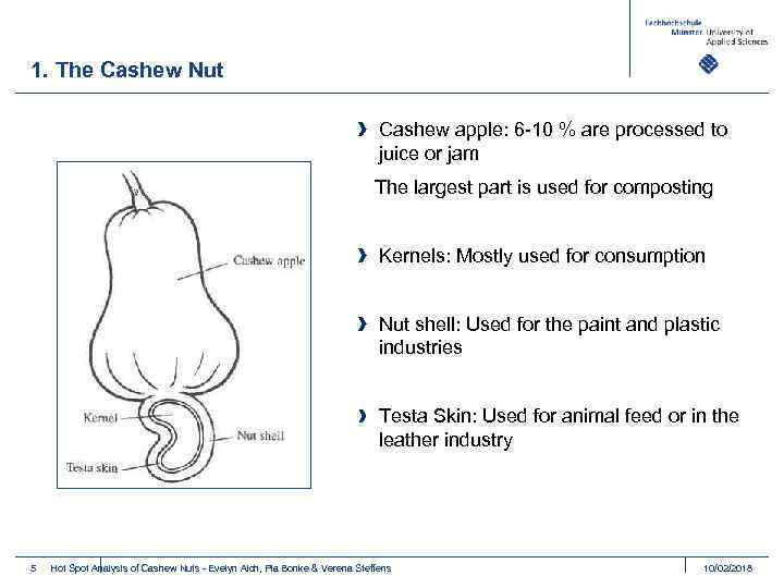 1. The Cashew Nut Cashew apple: 6 -10 % are processed to juice or