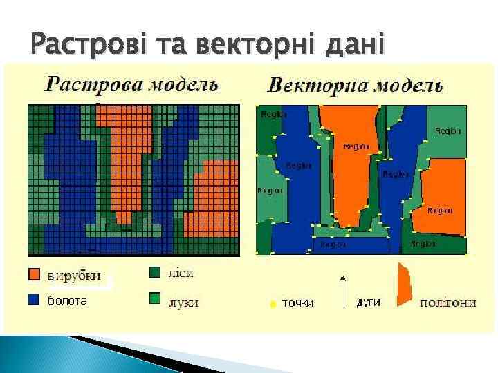 Растрові та векторні дані 