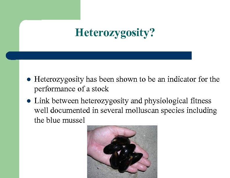 Heterozygosity? l l Heterozygosity has been shown to be an indicator for the performance