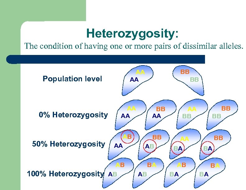 Heterozygosity: The condition of having one or more pairs of dissimilar alleles. Population level