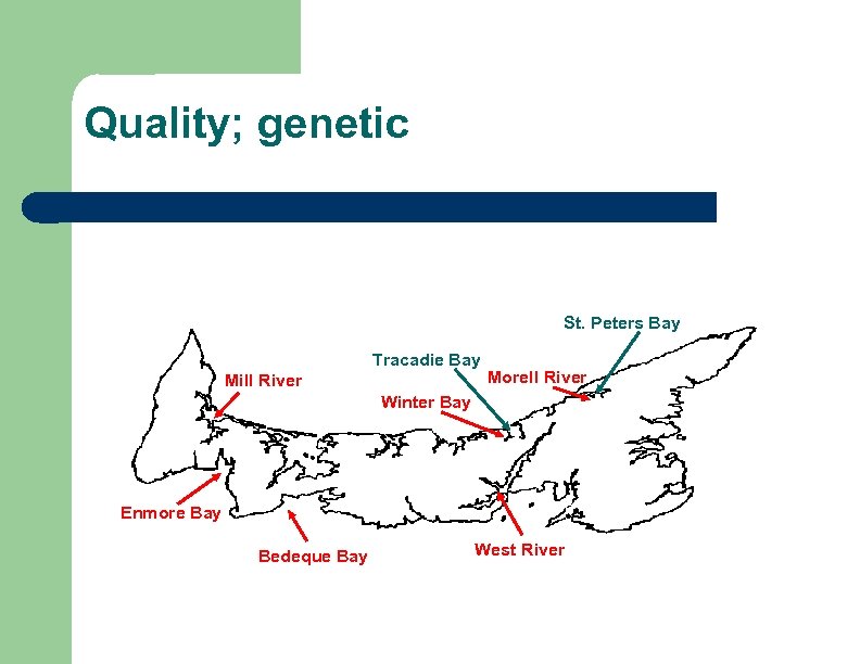 Quality; genetic St. Peters Bay Tracadie Bay Mill River Morell River Winter Bay Enmore