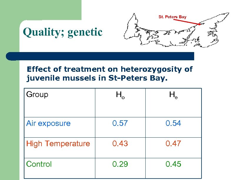 St. Peters Bay Quality; genetic Effect of treatment on heterozygosity of juvenile mussels in