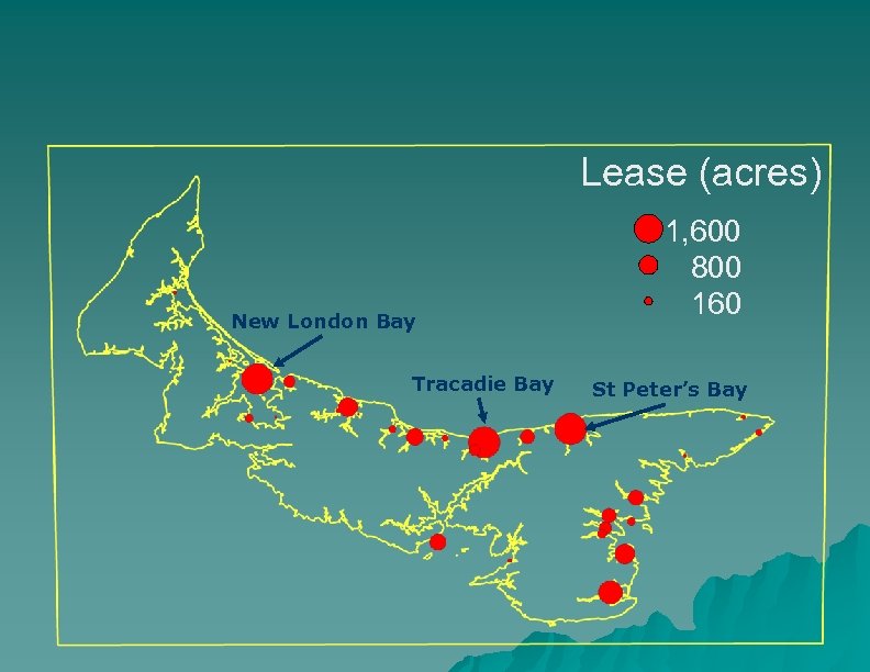 Lease (acres) New London Bay Tracadie Bay 1, 600 800 160 St Peter’s Bay