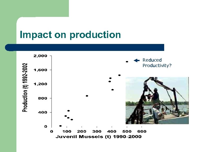 Impact on production Reduced Productivity? 