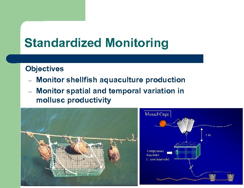 Standardized Monitoring Objectives – Monitor shellfish aquaculture production – Monitor spatial and temporal variation