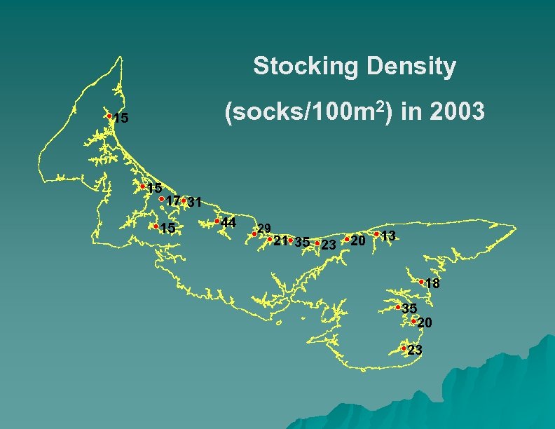 Stocking Density (socks/100 m 2) in 2003 15 15 17 31 15 44 29