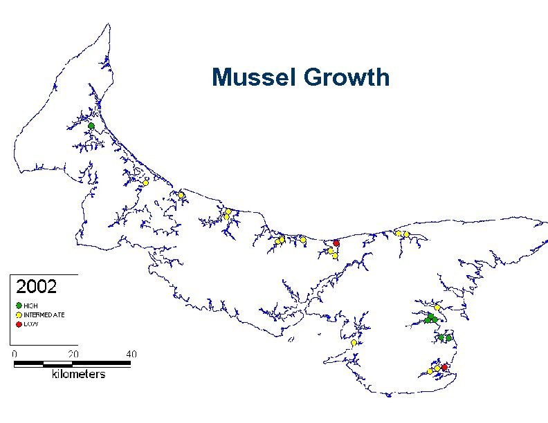 Mussel Growth 