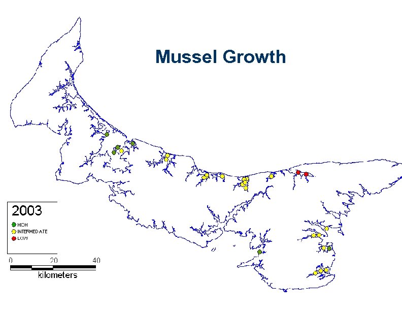 Mussel Growth 