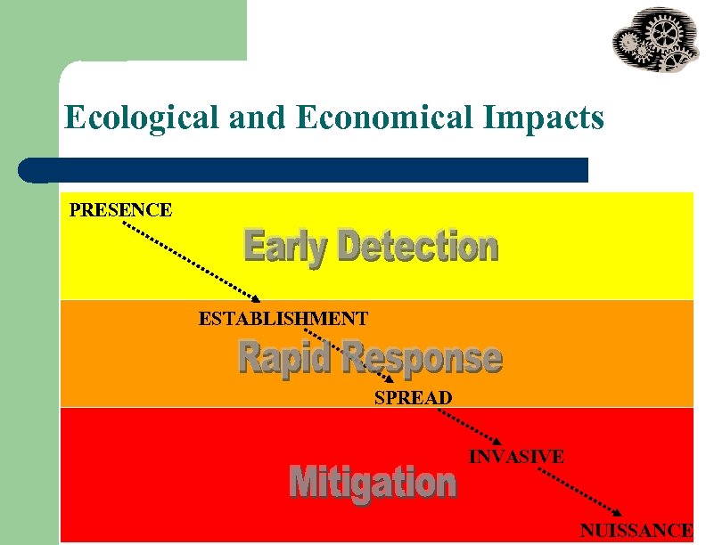 Ecological and Economical Impacts PRESENCE ESTABLISHMENT SPREAD INVASIVE NUISSANCE 