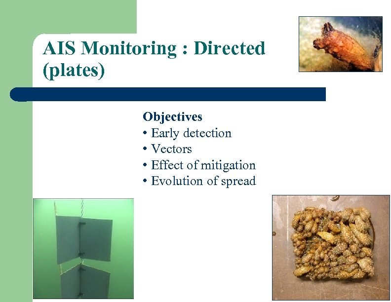 AIS Monitoring : Directed (plates) Objectives • Early detection • Vectors • Effect of