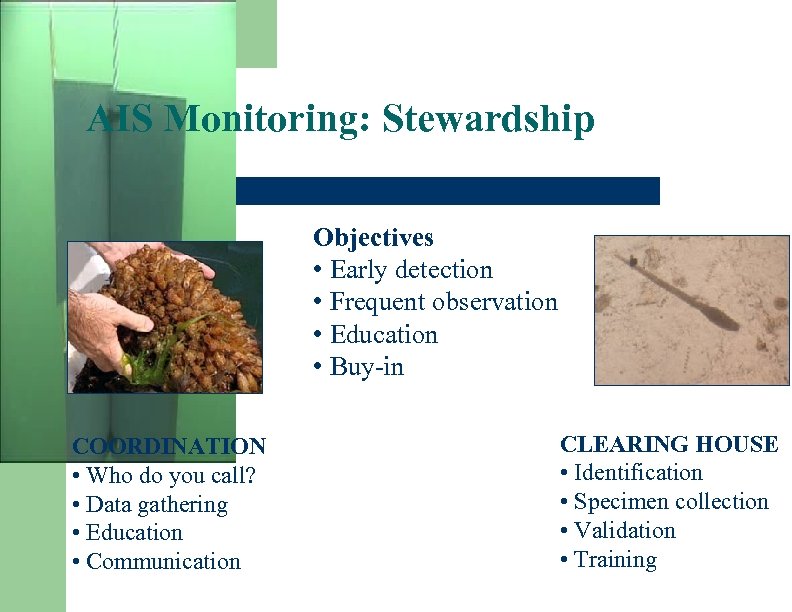 AIS Monitoring: Stewardship Objectives • Early detection • Frequent observation • Education • Buy-in