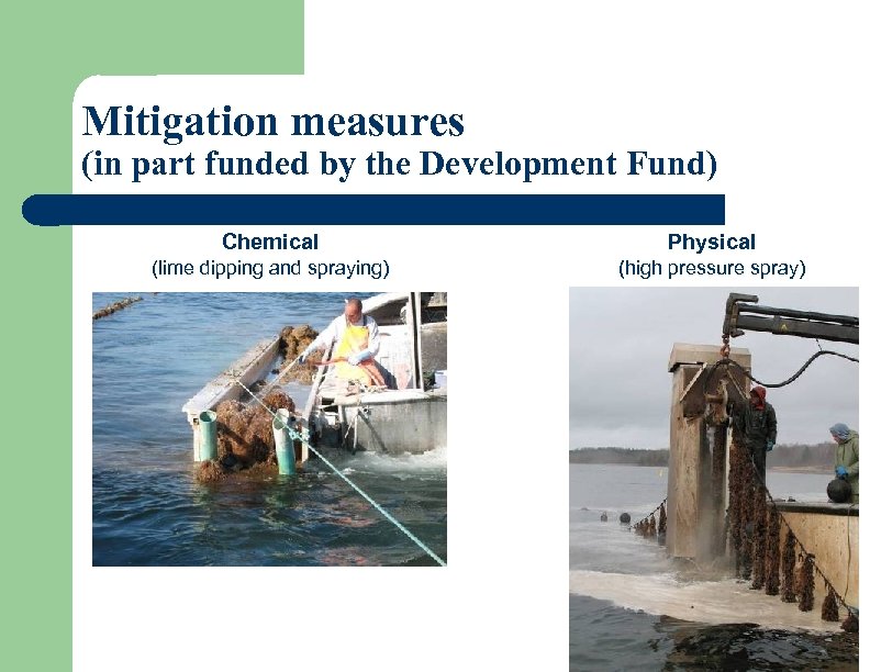 Mitigation measures (in part funded by the Development Fund) Chemical Physical (lime dipping and