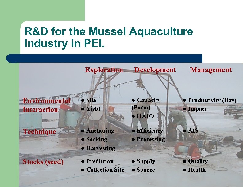 R&D for the Mussel Aquaculture Industry in PEI. Exploration Development Management Environmental Interaction l