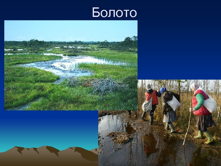Болото 