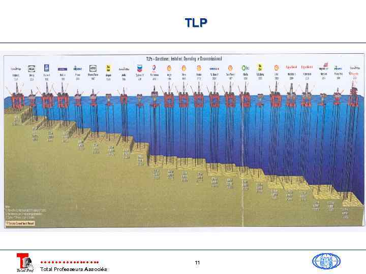 TLP Total Professeurs Associés 11 