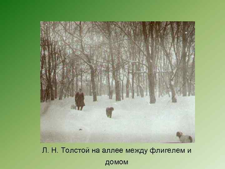 Л. Н. Толстой на аллее между флигелем и домом 