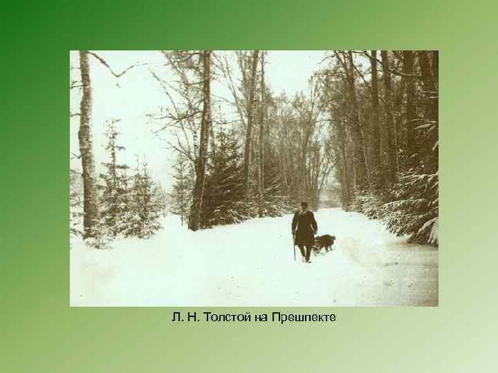 Л. Н. Толстой на Прешпекте 