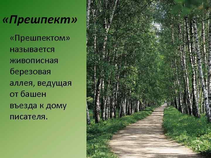  «Прешпект» «Прешпектом» называется живописная березовая аллея, ведущая от башен въезда к дому писателя.