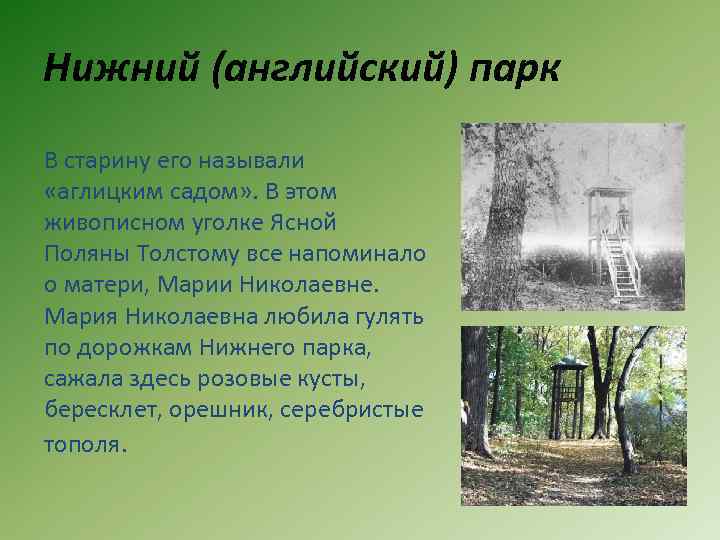 Нижний (английский) парк В старину его называли «аглицким садом» . В этом живописном уголке